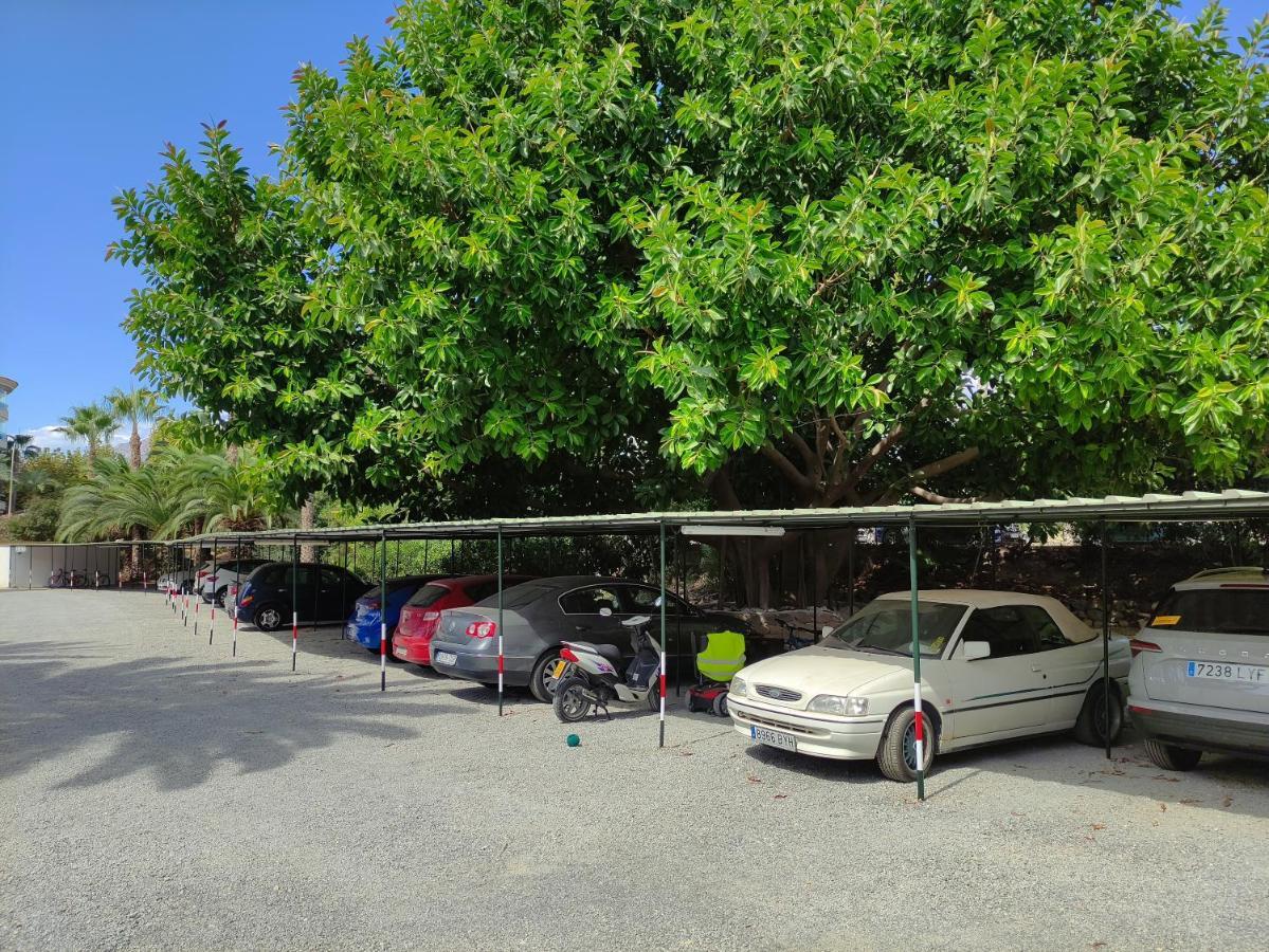 Albir Cosy Apartment El Albir Bagian luar foto